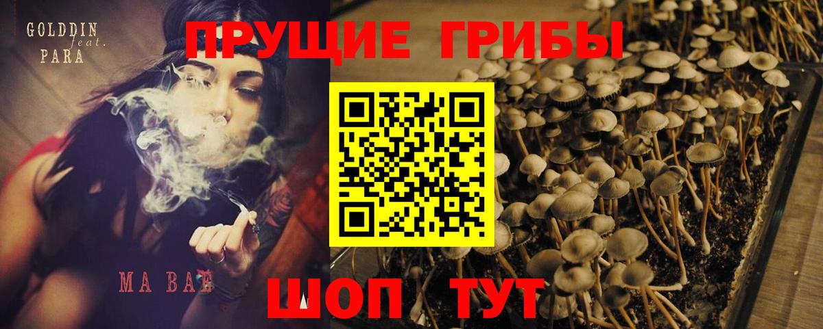 Галлюциногенные грибы прущие грибы Бузулук