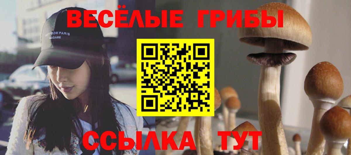 Галлюциногенные грибы ЛСД  Вход с VPN  Бузулук 