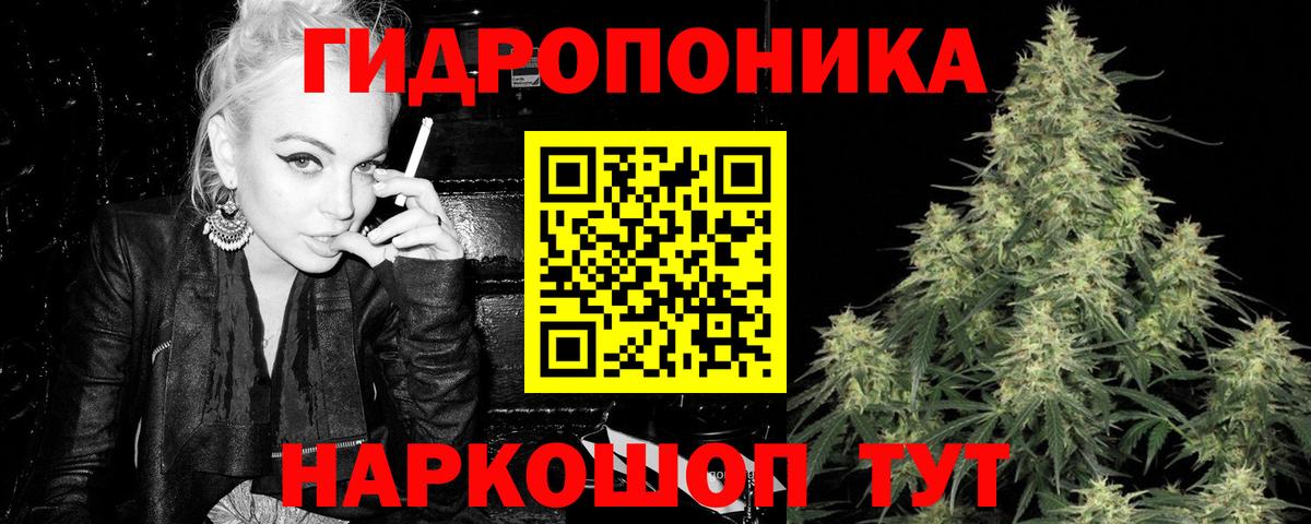 Бошки Шишки конопля Бузулук